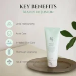 Beauty of Joseon Green Plum Refreshing Cleanser 100ml - Image 4
